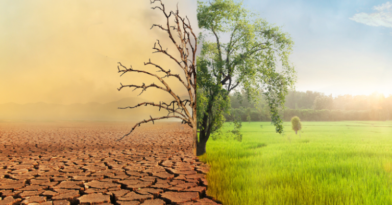 Climate change